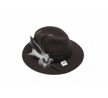 Шляпа с пером Lodenhut 1013 braun 58